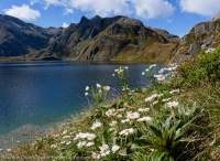 Lake Harris, Aspiring National Park, New Zealand